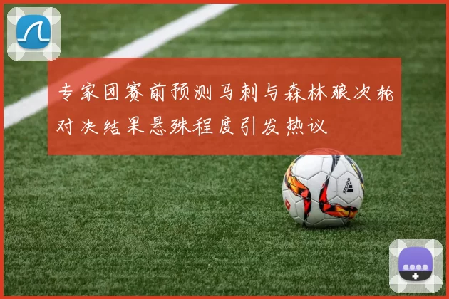 专家团赛前预测马刺与森林狼次轮对决结果悬殊程度引发热议