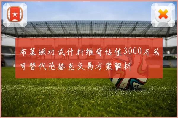 布莱顿对武什科维奇估值3000万或可替代范赫克交易方案解析