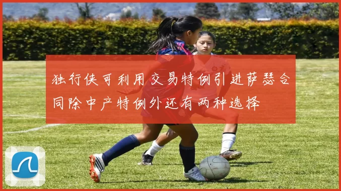 独行侠可利用交易特例引进萨瑟合同除中产特例外还有两种选择